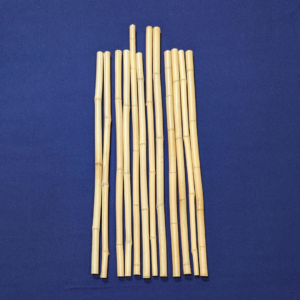 bamboo sticks Circular Partners