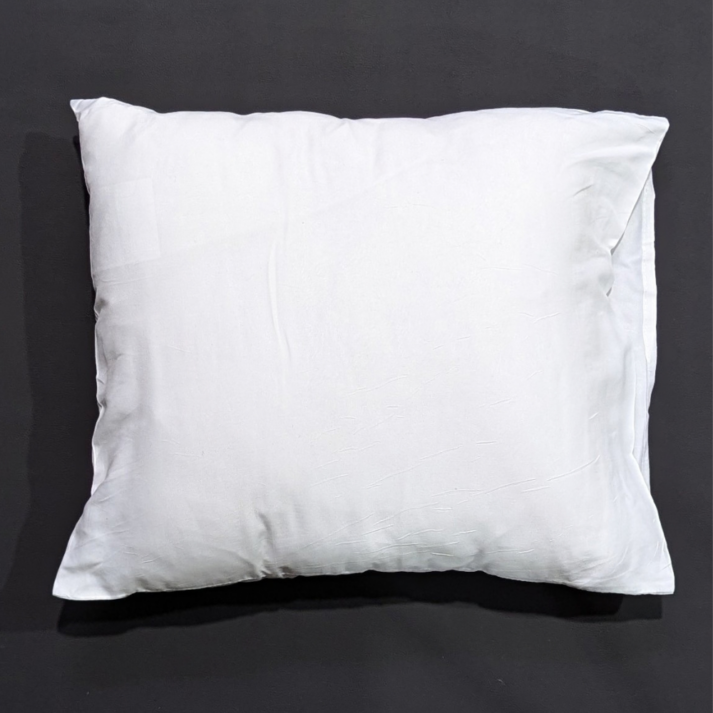 Used Pillow